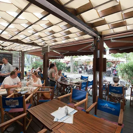 Attila Boglar Dom wakacyjny *